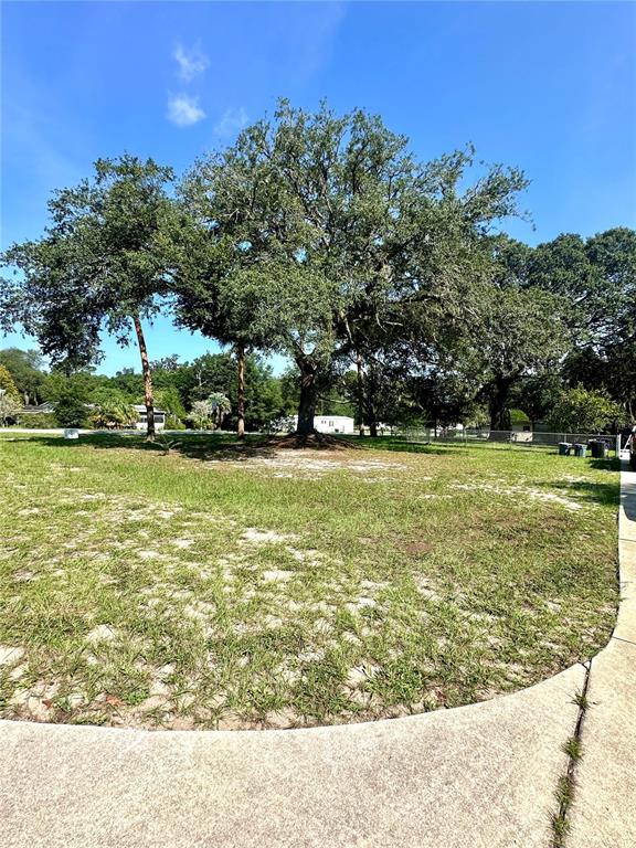 202 ASH STREET, INTERLACHEN, FL — photo 4 of 25