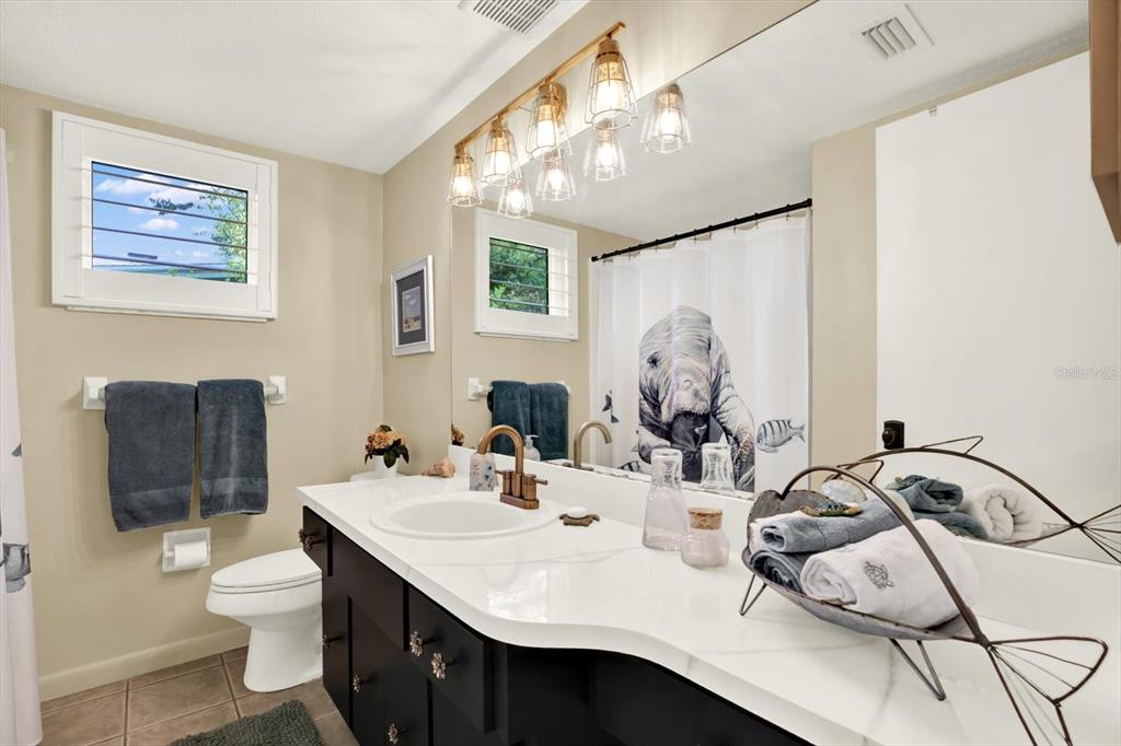 A bathroom features a dark vanity with a white countertop, a mirror, and a shower — 4064 N CONCORD DRIVE, CRYSTAL RIVER, FL