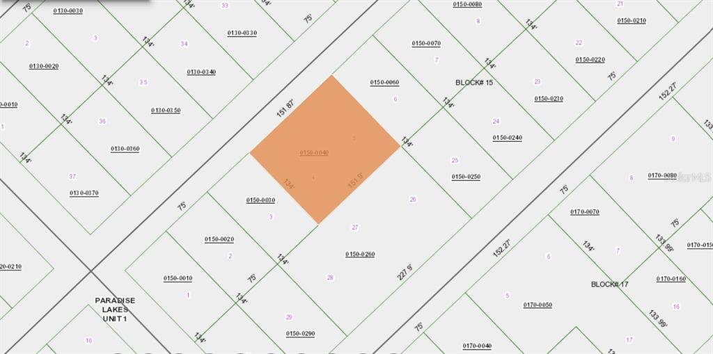 This is a tax map showing a highlighted parcel of land within a residential subdivision — 207 SE 2ND STREET, GEORGETOWN, FL