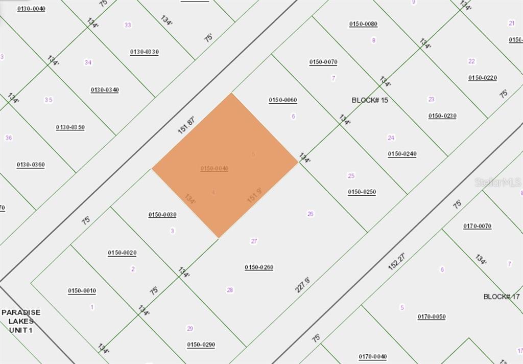 This is a property tax map showing parcel boundaries and lot dimensions — 207 SE 2ND STREET, GEORGETOWN, FL