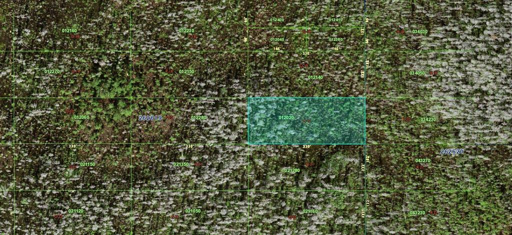 This is a digital map showing property parcel boundaries and identification numbers over a wooded area — 0 OLD GRADE ROAD, POLK CITY, FL