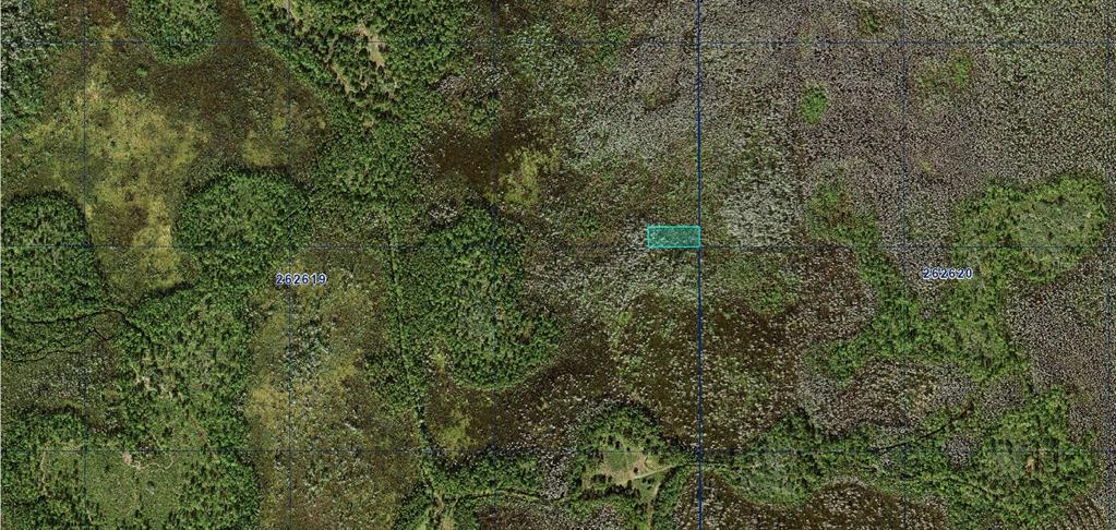 This is an aerial map view showing a small rectangular plot of land in forest — 0 OLD GRADE ROAD, POLK CITY, FL