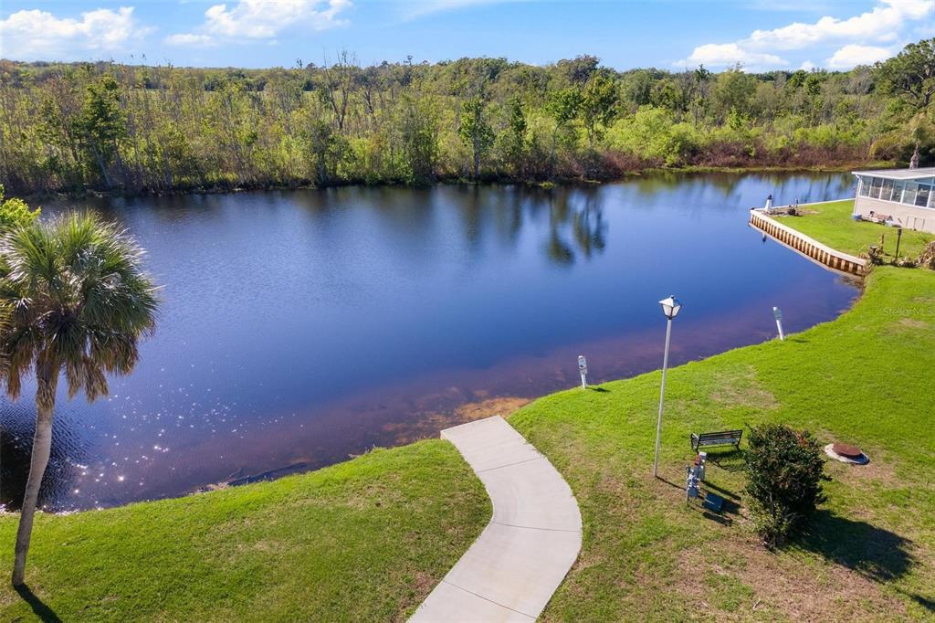 An aerial view shows a concrete walkway leading to a pond behind a residential property — 2621 CARPENTER PLACE, LEESBURG, FL