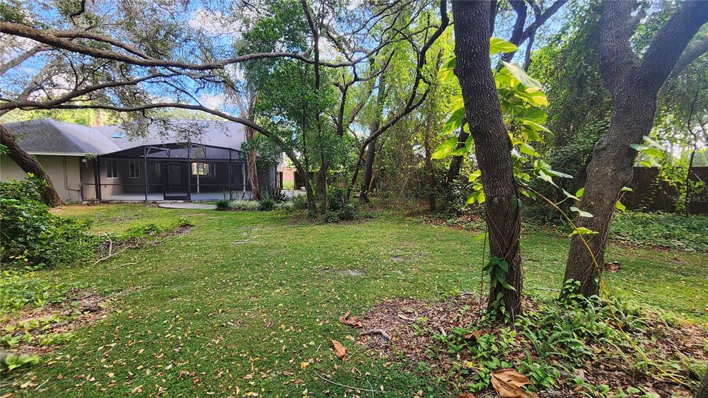 A grassy backyard features mature trees and a house with a screened-in patio — 300 SUN OAKS COURT, LAKE MARY, FL