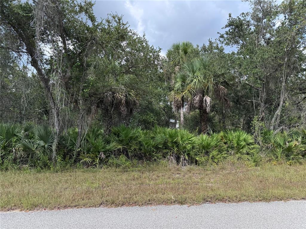 A view of a wooded lot with palm trees and dense vegetation along a road — 17110 GEOFFREY AVENUE, PORT CHARLOTTE, FL