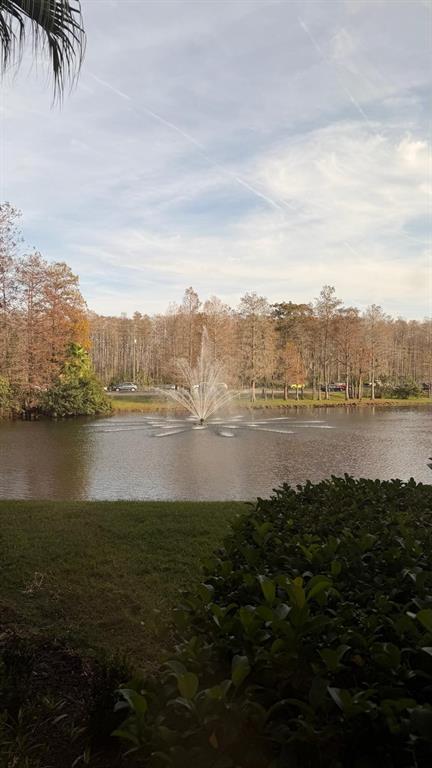 13584 TURTLE MARSH LOOP UNIT 113, ORLANDO, FL — photo 3 of 29