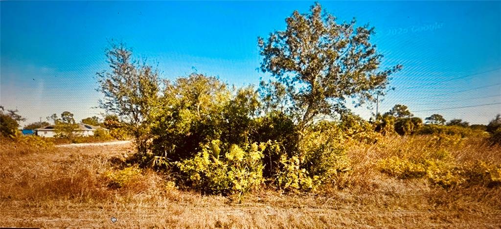 A vacant, grassy lot features a cluster of trees and shrubs under a clear sky — 3333 MEADOW ROAD, LEHIGH ACRES, FL