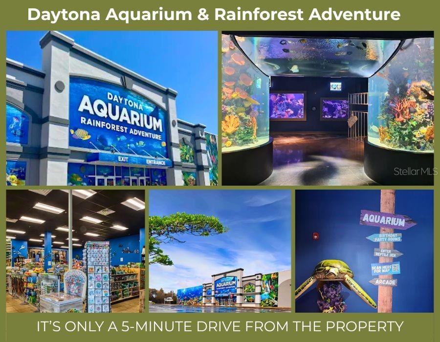 A collage shows the exterior and interior of the Daytona Aquarium and Rainforest Adventure — BRENTWOOD DRIVE, DAYTONA BEACH, FL