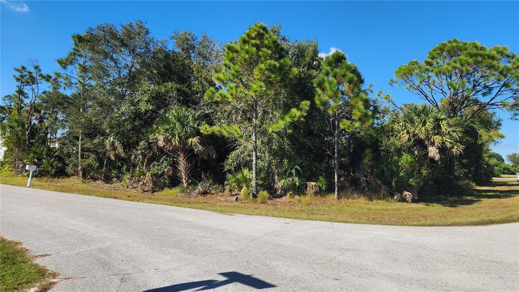 A paved road curves in front of a wooded lot with pine trees and palms — 12062 COLEMAN AVENUE, PORT CHARLOTTE, FL
