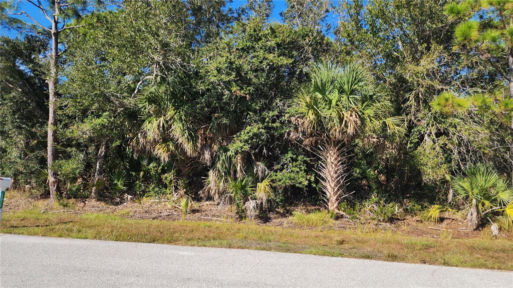 A view of a wooded, undeveloped residential lot from the edge of a paved road — 12062 COLEMAN AVENUE, PORT CHARLOTTE, FL