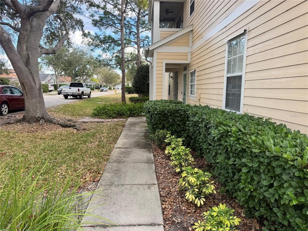 A concrete walkway leads along the side of a yellow-sided building with landscaping — 6315 ROSEFINCH COURT UNIT 101, LAKEWOOD RANCH, FL