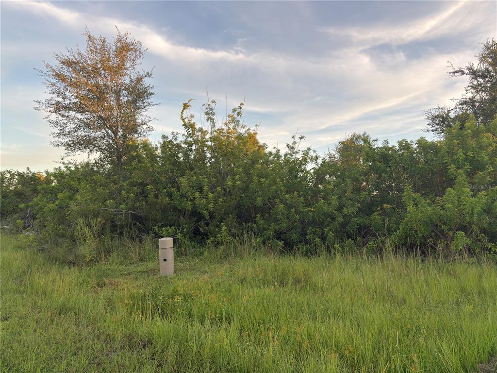 A grassy, undeveloped lot features a utility marker and dense brush under a cloudy sky — 14251 INGRAHAM BOULEVARD, PORT CHARLOTTE, FL