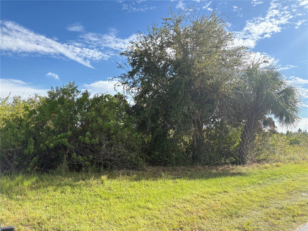 A grassy lot features a cluster of trees and a palm tree under a sky — 14251 INGRAHAM BOULEVARD, PORT CHARLOTTE, FL