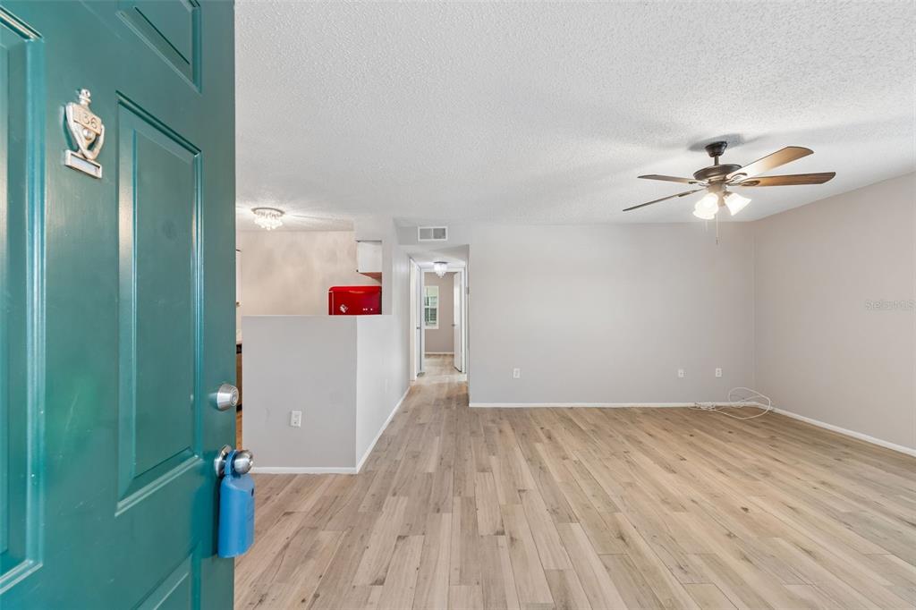 A view from an open teal door into a living room with light wood flooring — 4335 AEGEAN DRIVE UNIT 136A, TAMPA, FL