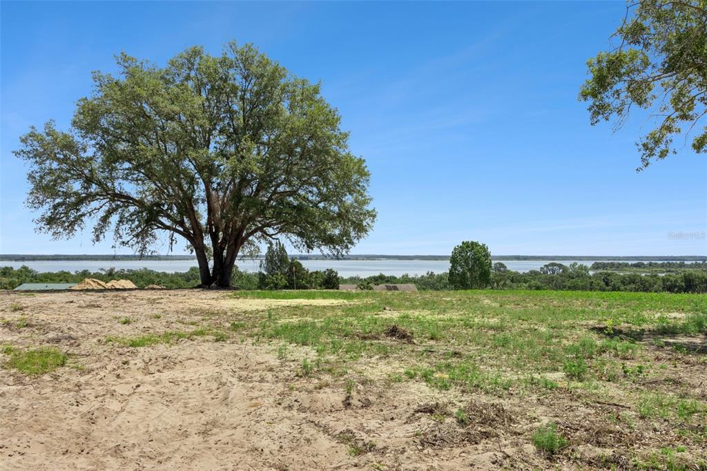 A large oak tree stands on a sandy, undeveloped lot overlooking a distant lake — 0000 BERTSVILLE & GRIFFIN VIEW ROAD, LADY LAKE, FL