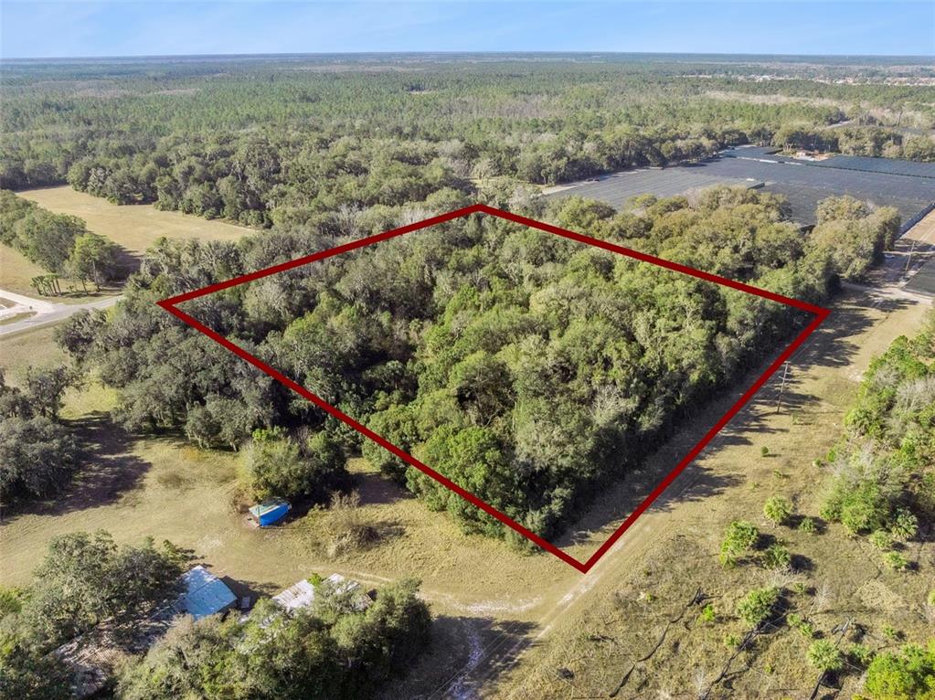 1975 STONE ROAD, PIERSON, FL — photo 4 of 18