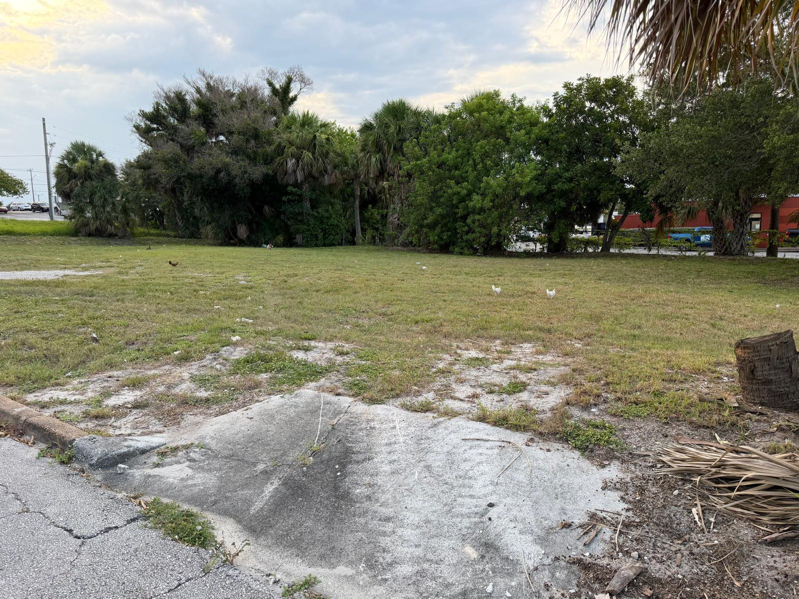 A vacant, grassy lot features a concrete pad in the foreground and surrounding trees — 408 Avenue E, Fort Pierce FL 34950, FORT PIERCE, FL
