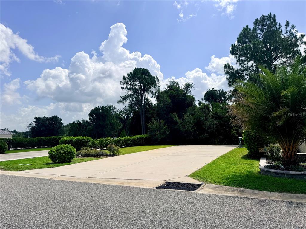 A concrete driveway leads to a wooded area under a bright, cloudy sky — 9509 SE 49TH TERRACE, WEBSTER, FL