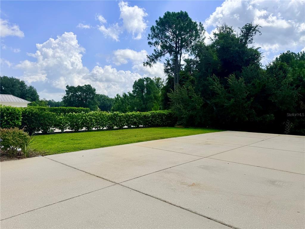 A concrete driveway leads to a manicured lawn bordered by a tall hedge and trees — 9509 SE 49TH TERRACE, WEBSTER, FL