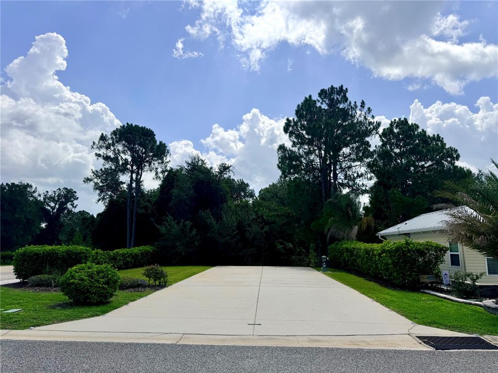 A concrete driveway leads toward a dense line of trees next to a house — 9509 SE 49TH TERRACE, WEBSTER, FL
