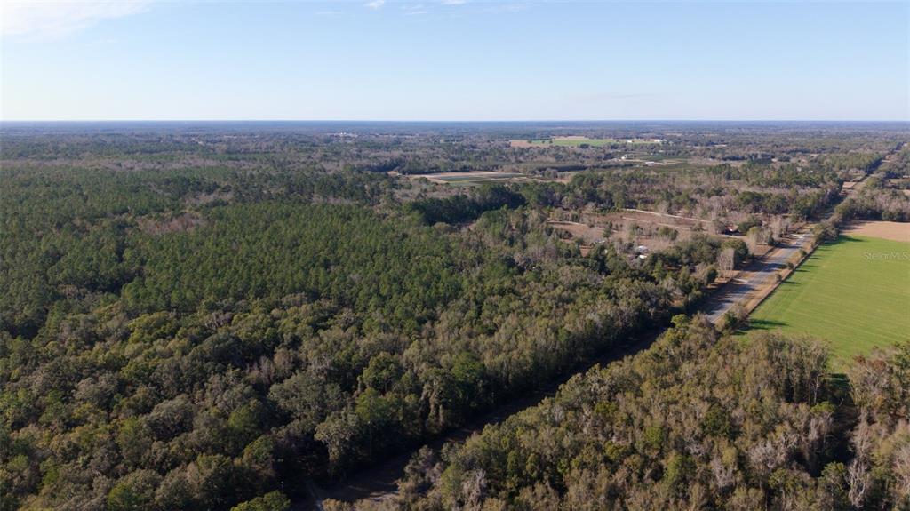 An aerial view shows a large expanse of forest bordering a road and open fields — 14403 NW 258TH PLACE, ALACHUA, FL