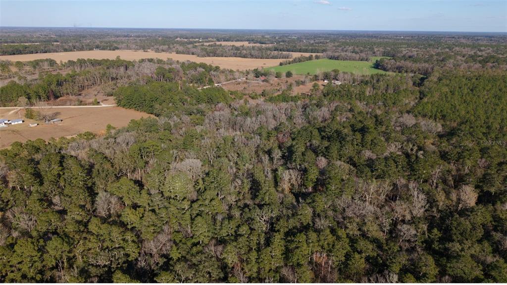 An aerial view shows a large, wooded plot of land surrounded by open fields — 14403 NW 258TH PLACE, ALACHUA, FL