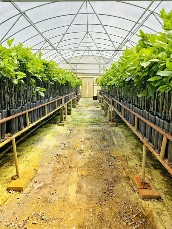 A greenhouse interior features rows of potted saplings on elevated benches flanking a central path — 612 MORGAN ROAD, WINTER HAVEN, FL