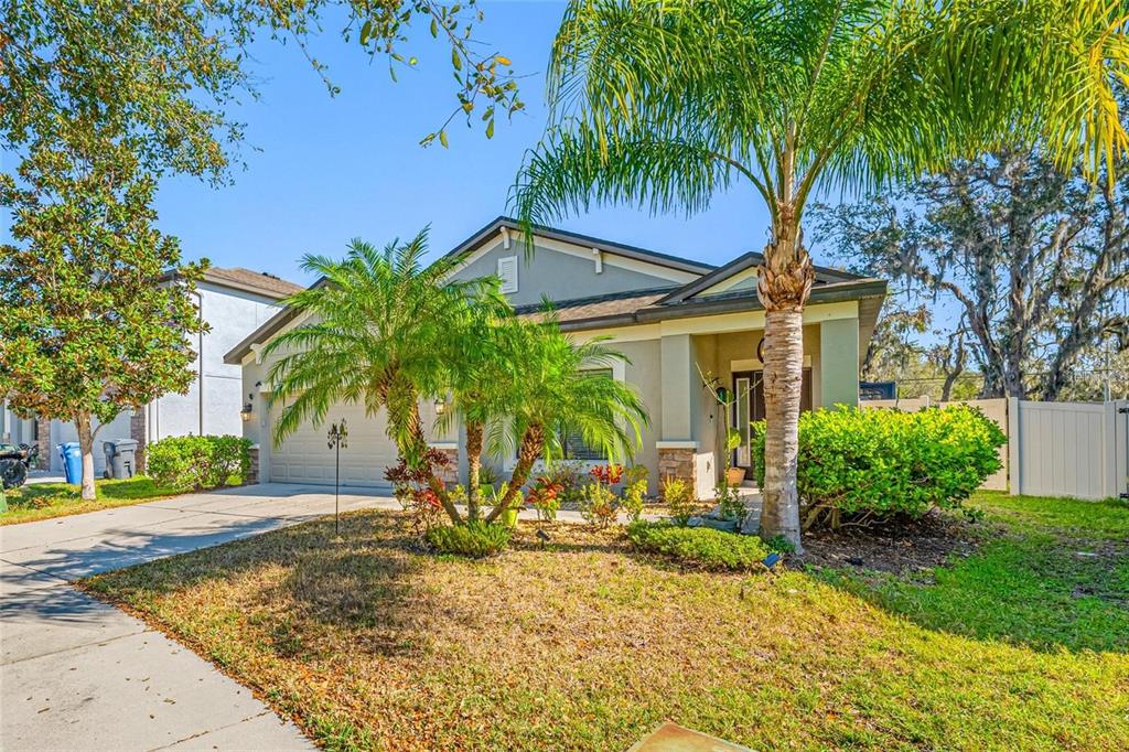 A single-story house with a beige stucco exterior, a palm tree, and a concrete driveway — 11652 PALMETTO PINE STREET, RIVERVIEW, FL