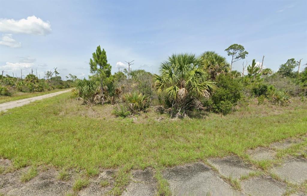 A vacant, grassy lot with scattered palm trees and shrubs next to a paved road — Lot 7 NOSEGAY STREET, NORTH PORT, FL
