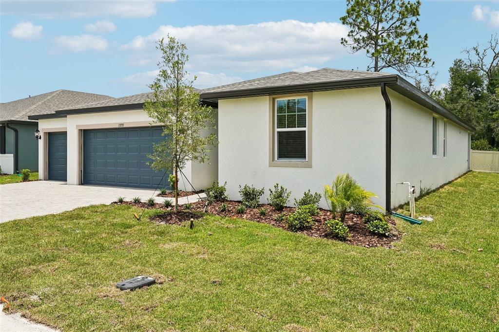 A single-story house with a white stucco exterior, a blue garage door, and landscaped front yard — 13755 UMBER FOREST STREET, HUDSON, FL