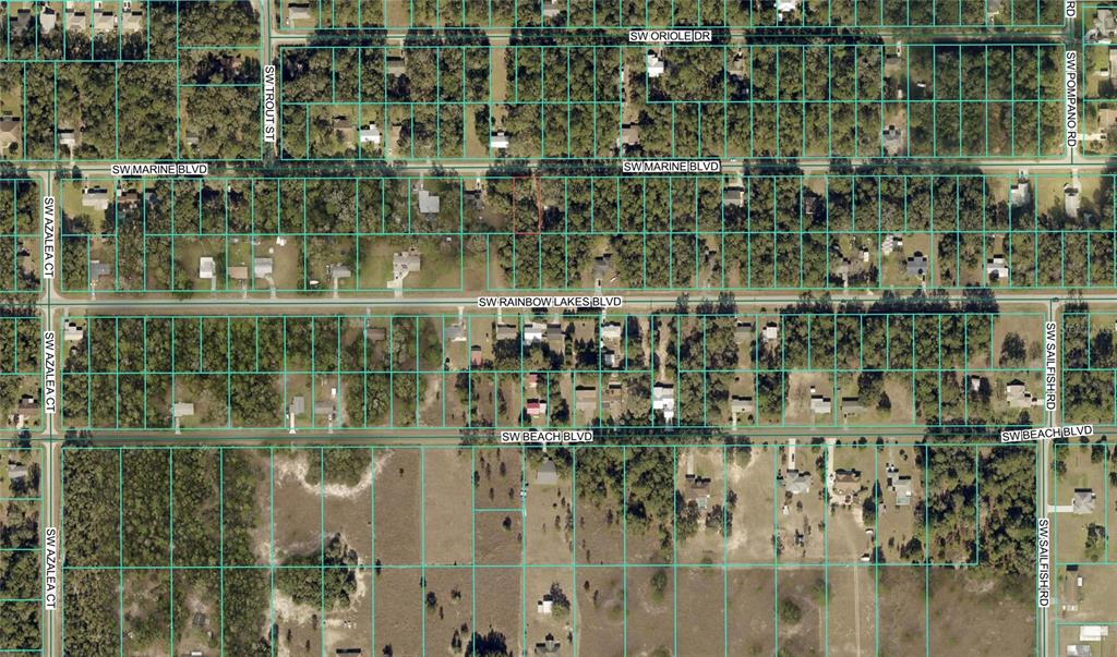 An aerial map view shows residential lots and streets in a wooded neighborhood — 20832 SW MARINE BOULEVARD, DUNNELLON, FL