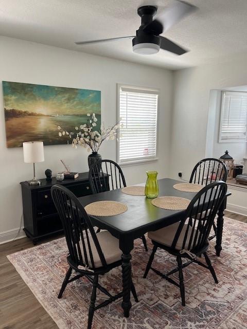 1127 E 11TH AVENUE, MOUNT DORA, FL — photo 4 of 9