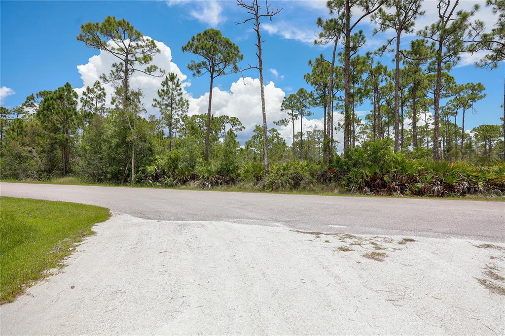 A paved road runs in front of a wooded lot with tall pine trees — 28364 PLATO DRIVE, PUNTA GORDA, FL