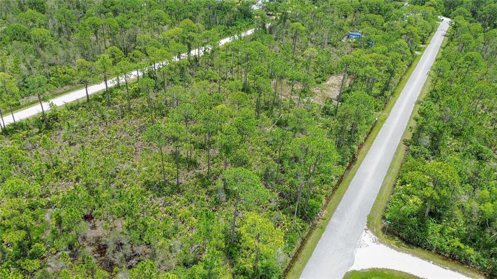 An aerial view of a wooded, undeveloped plot of land bordered by two paved roads — 28364 PLATO DRIVE, PUNTA GORDA, FL