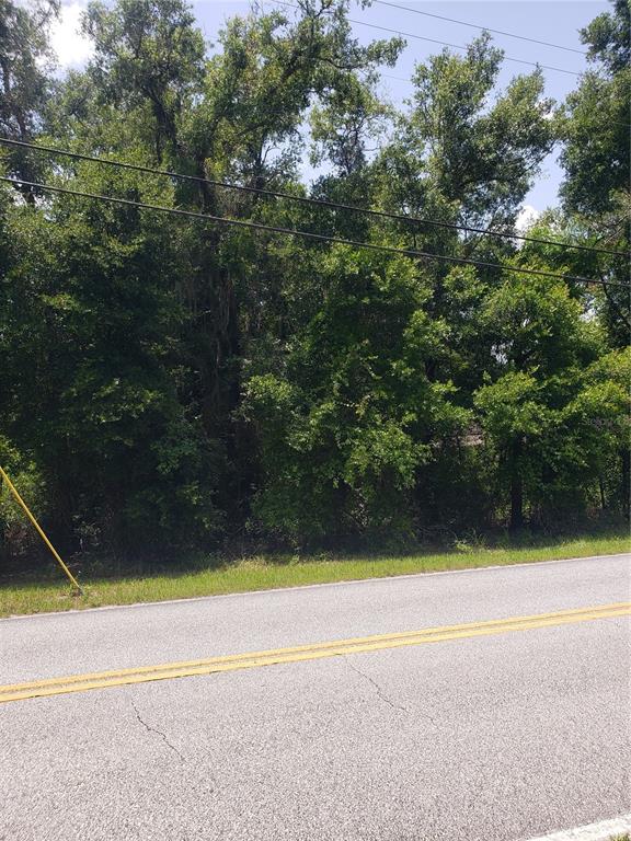 REYNOLDS ROAD, DE LEON SPRINGS, FL — photo 2 of 8