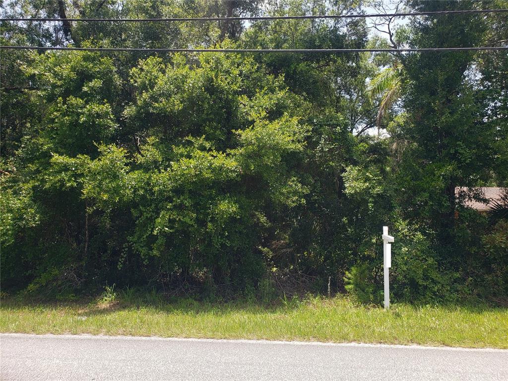 REYNOLDS ROAD, DE LEON SPRINGS, FL — photo 3 of 8