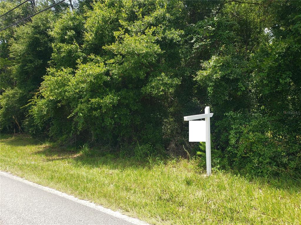 REYNOLDS ROAD, DE LEON SPRINGS, FL — photo 4 of 8
