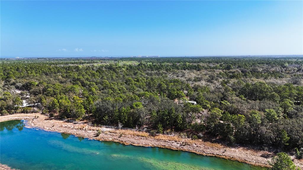 An aerial view shows a pond bordering a dense forest under a clear blue sky — 251 AMBER TRAIL, PALM COAST, FL