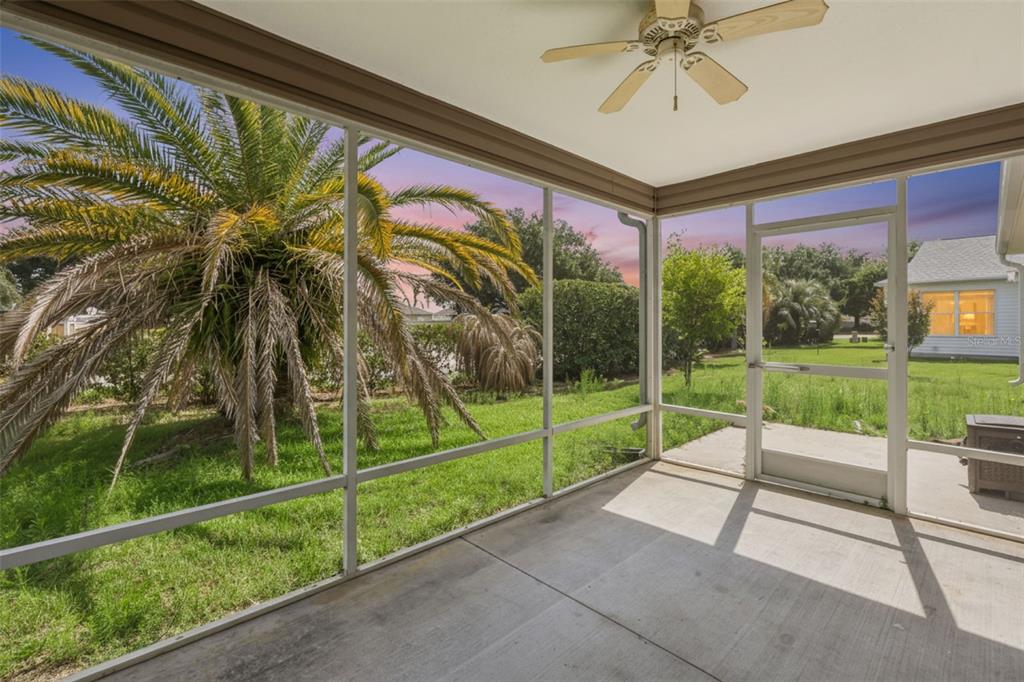 A screened-in porch with a ceiling fan overlooks a grassy backyard with a palm tree — 1575 HOLLYBERRY PLACE, THE VILLAGES, FL