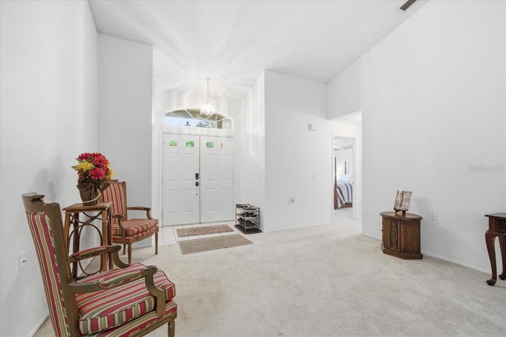 A bright entryway features white walls, carpeted flooring, and a double front door — 9338 CLEARMEADOW LANE, NEW PORT RICHEY, FL