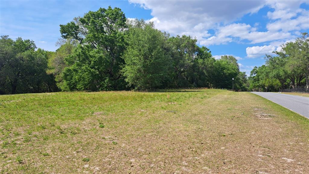 A grassy, undeveloped lot sits next to a paved road with trees in the background — 00 SE 101ST CT ROAD, BELLEVIEW, FL