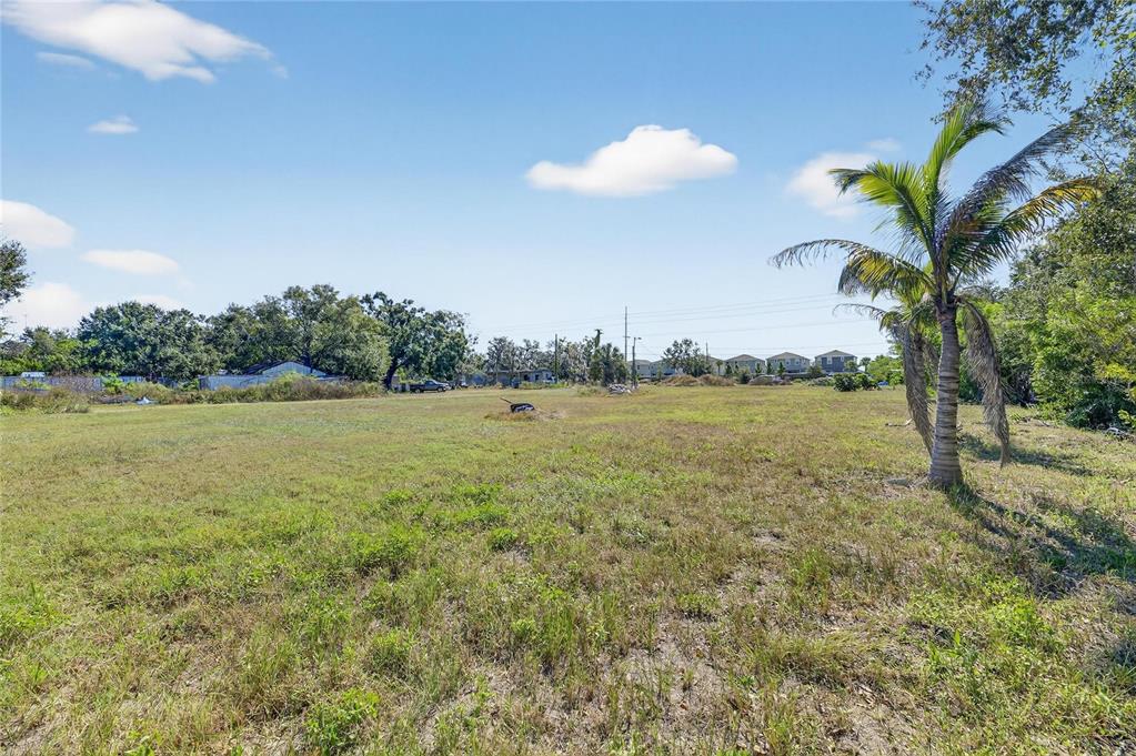 A large, grassy vacant lot features a single palm tree under a bright blue sky — 11734 RHODINE ROAD, RIVERVIEW, FL