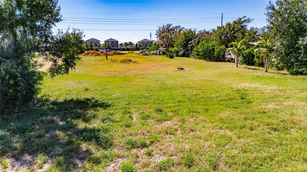 A large, grassy, undeveloped lot is surrounded by trees and residential houses in the distance — 11734 RHODINE ROAD, RIVERVIEW, FL