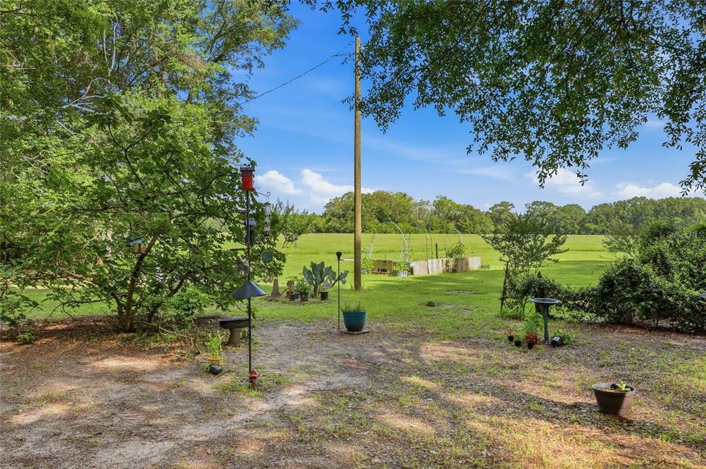 A grassy backyard features a utility pole, a small garden area, and various potted plants — 10222 NW 173RD STREET, ALACHUA, FL