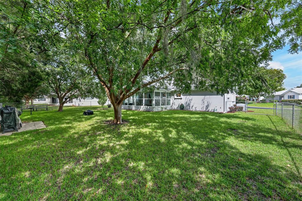 A grassy backyard features a large tree, a screened-in porch, and a chain-link fence — 11946 SW 137TH LOOP, DUNNELLON, FL
