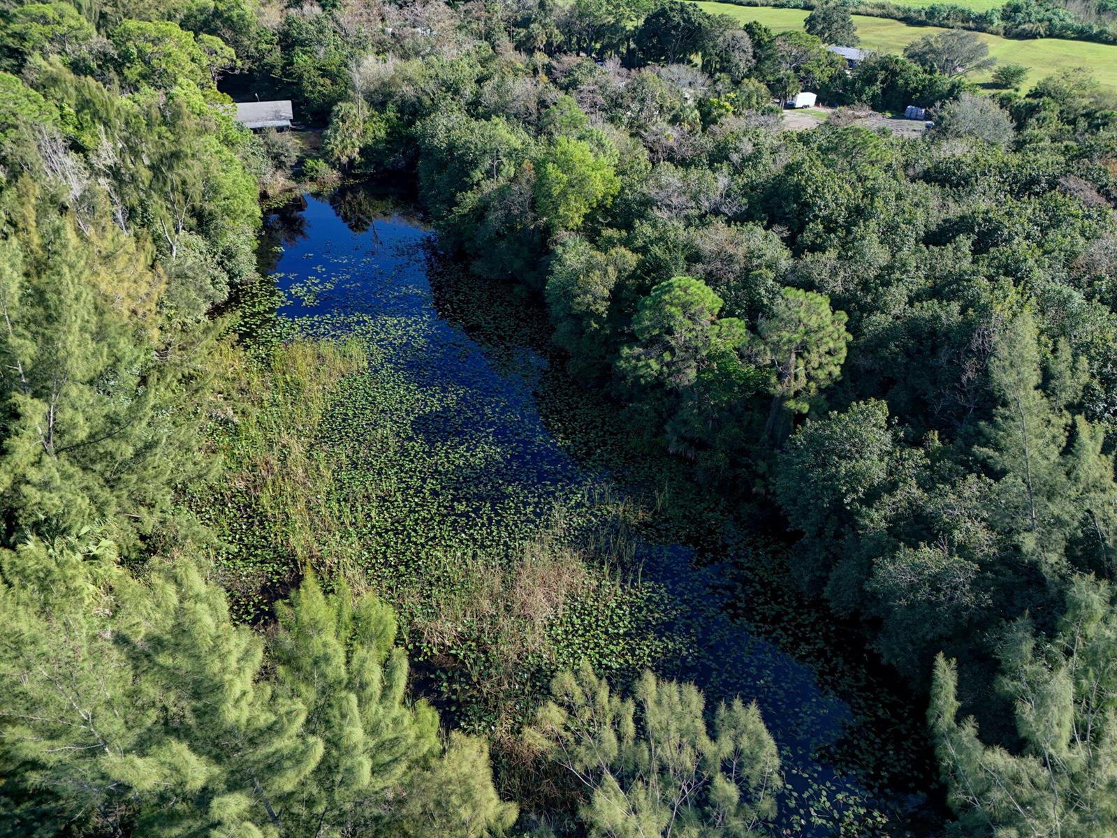 An aerial view shows a narrow pond surrounded by dense trees and vegetation — 9620 171st Street N, Jupiter FL 33478, JUPITER, FL