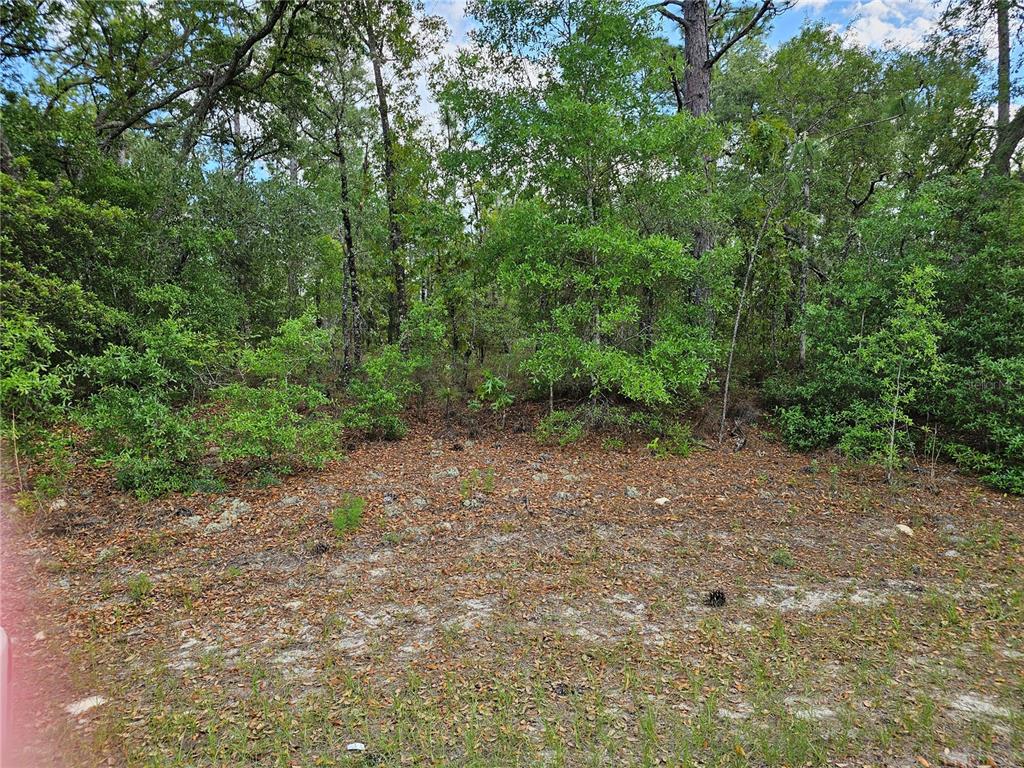 1681 W SKYLINE DRIVE