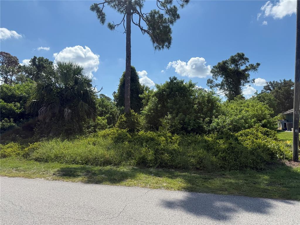 A vacant, heavily wooded residential lot sits alongside a paved road under a blue sky — WEATHERTON STREET, NORTH PORT, FL