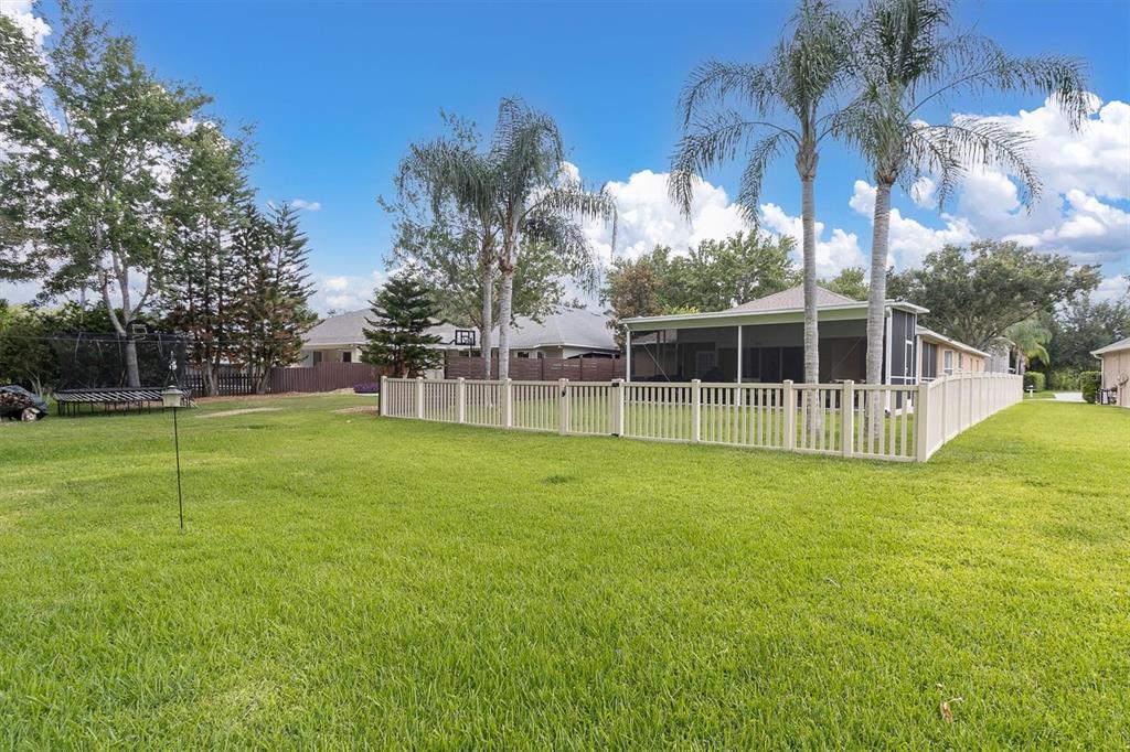 A grassy backyard features a fenced-in patio area with two tall palm trees — 7832 BLUE SPRING DRIVE, LAND O LAKES, FL
