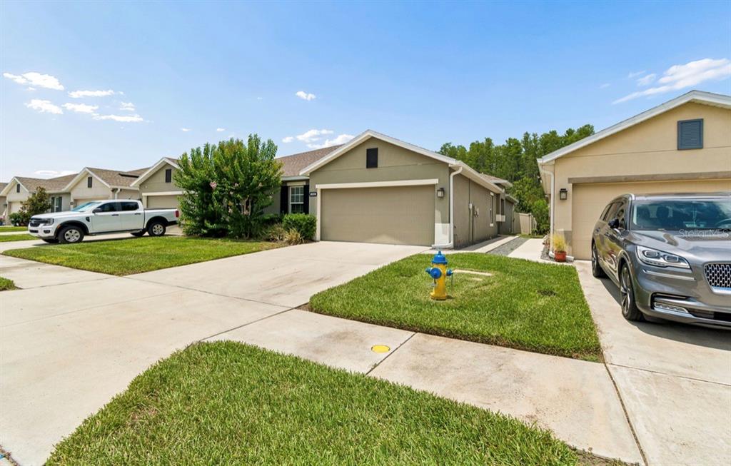 A suburban street view showing three single-story houses with driveways and a fire hydrant — 18307 TURNING LEAF CIRCLE, LAND O LAKES, FL